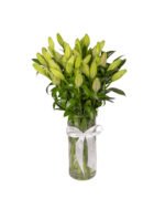 ⁦Lilies⁩ - الصورة ⁦2⁩