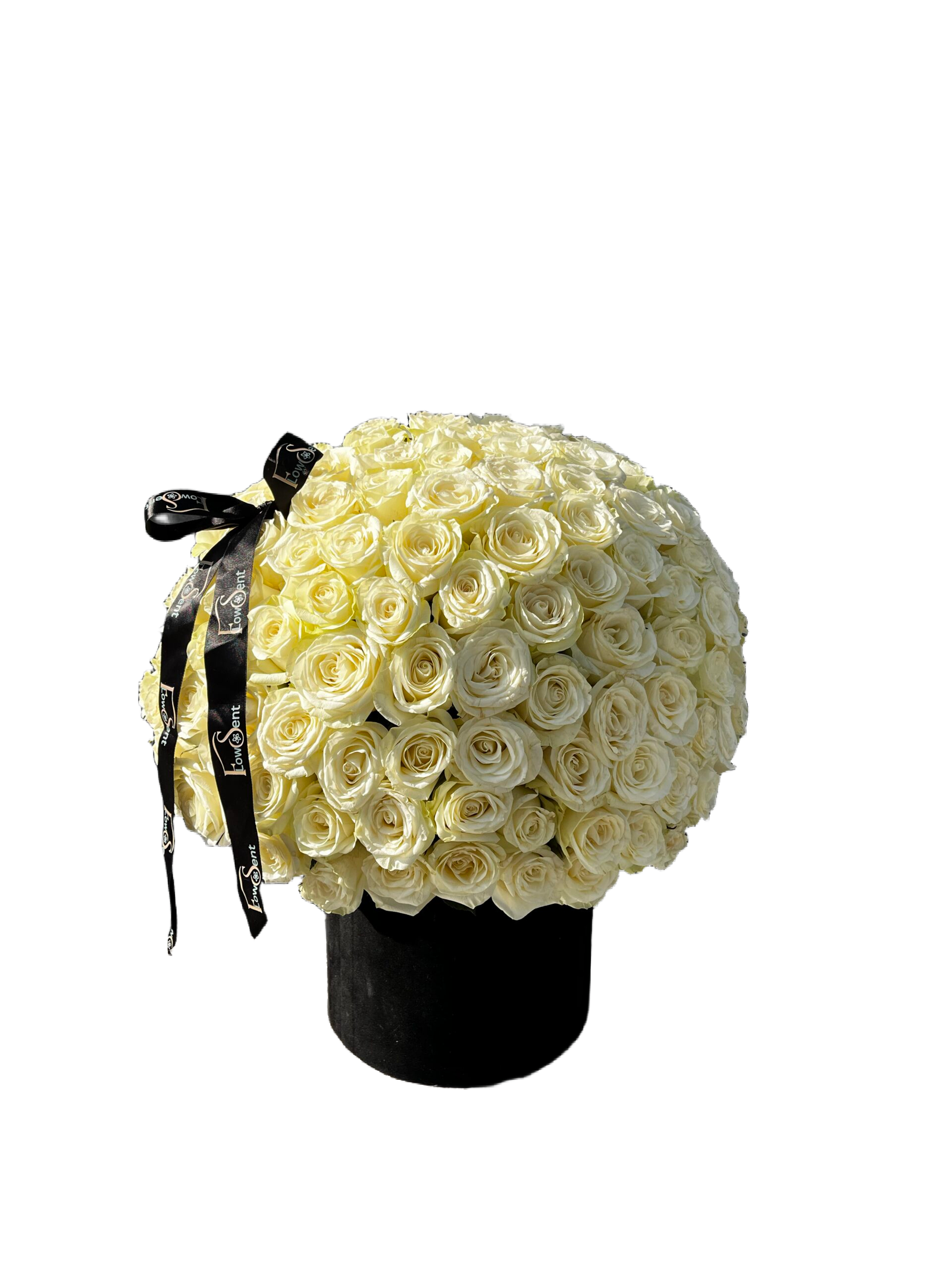 2fda0e0e-c658-4e0d-bca7-d79ff9385505 The King - الصورة 1