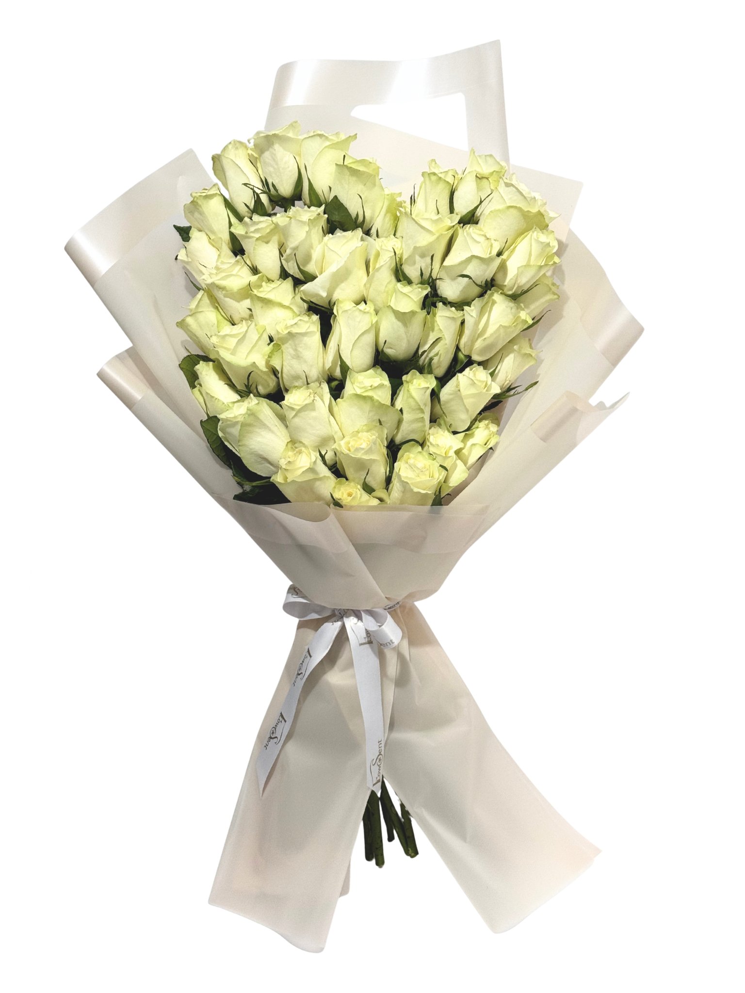 White Love – White Roses Valentine’s Bouquet | Flower Delivery in Cairo & Giza Elegant white roses Valentine’s bouquet wrapped in white by Flowsent – flower delivery in Cairo and Giza