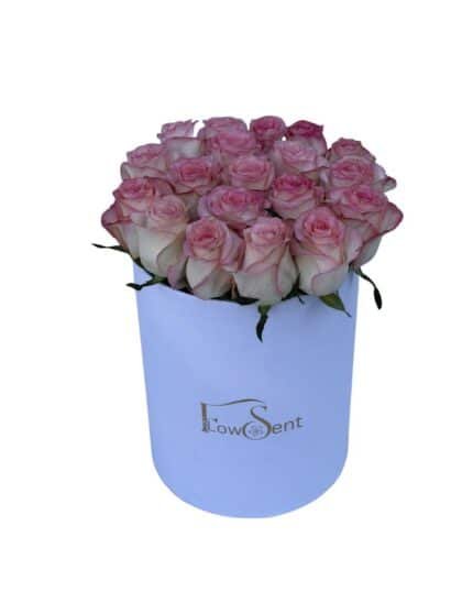 Eden pink Jumilia roses in luxury white flower box by Flowsent – delivery in Cairo and Giza